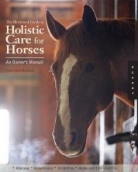 equine massage book - Holistic Care for Horses - author Denise Bean